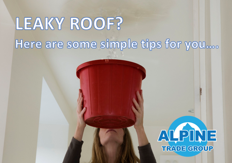 leaky roof, plumbing emergency, roofing, gutters, wet, 
