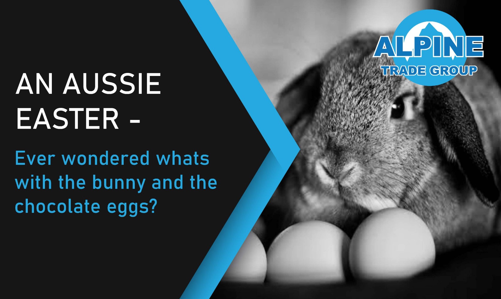 Aussie Easter in Autumn � EVER WONDERED WHATS WITH THE BUNNY AND THE CHOCOLATE EGG?